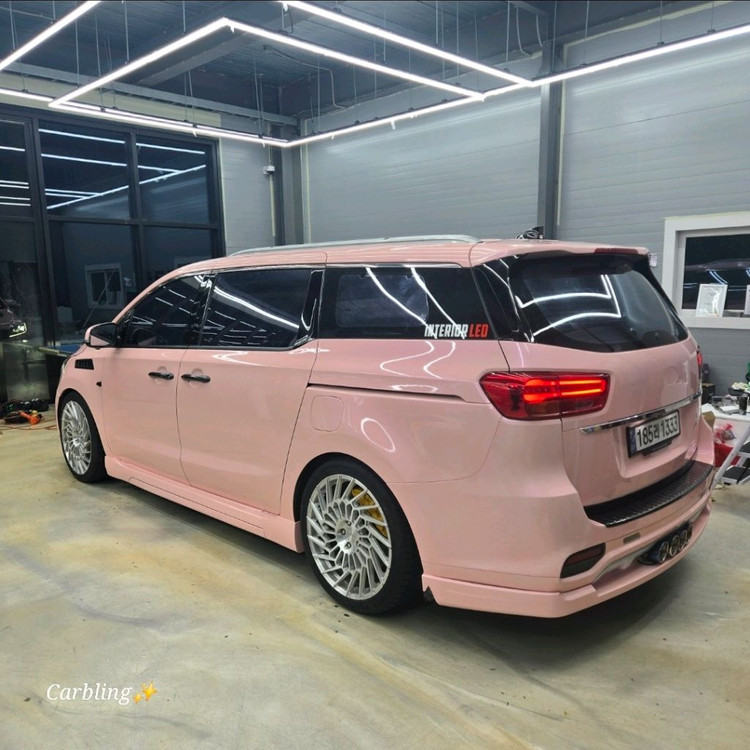 2019 더뉴카니발 이미지