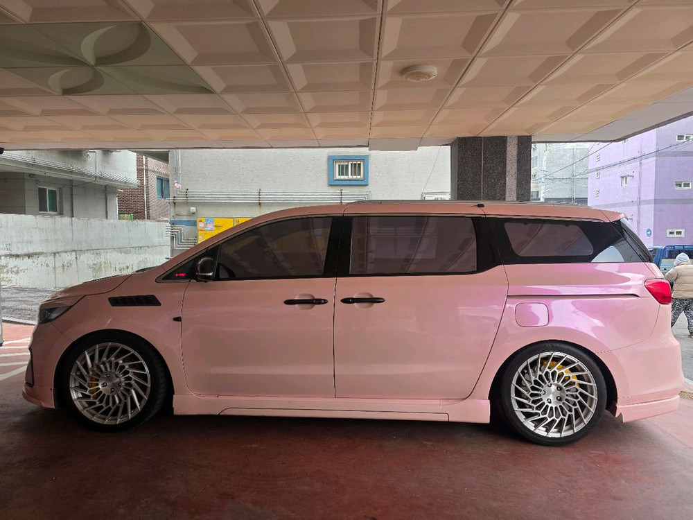 2019 더뉴카니발 이미지