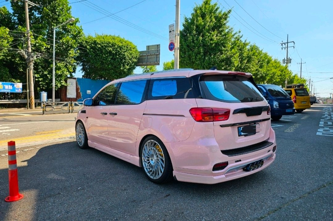 2019 더뉴카니발 이미지