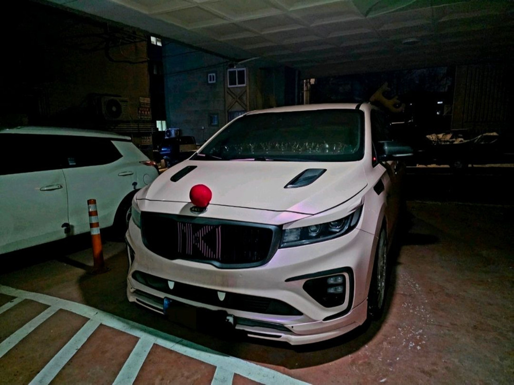 2019 더뉴카니발 이미지