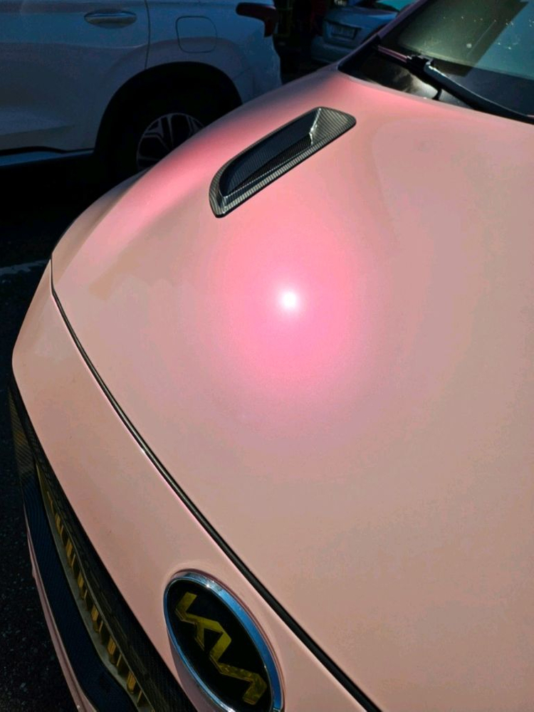 2019 더뉴카니발 이미지