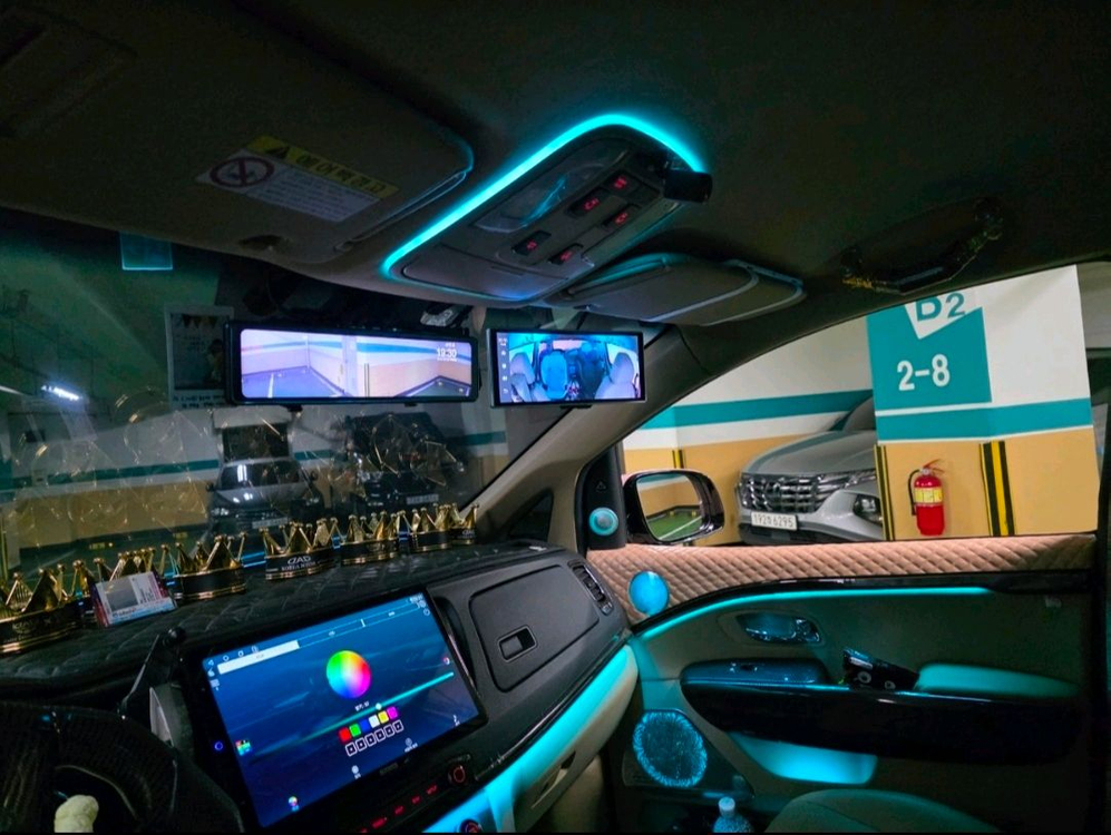 2019 더뉴카니발 이미지