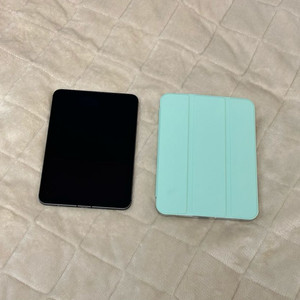 아이패드 미니6 256기가 셀룰러 (케이스 포함) 이미지