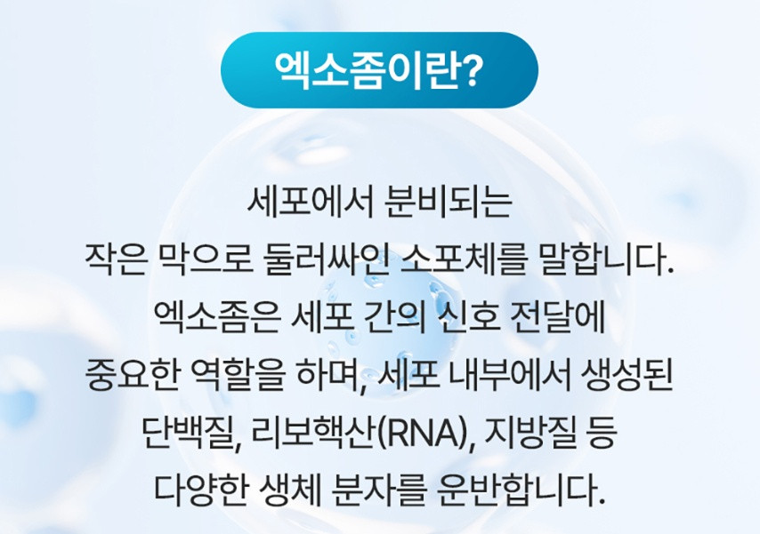 닥터스터치 딥이펙트 스피큘레이션 에센스 50ml 스킨케어 각질케어 여드름개선 엑소좀 병의원화장품 이미지