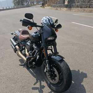 할리데이비슨 팻밥 114 2020 이미지