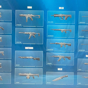 발로란트 아시아 서버 굿즈(22렙) 이미지