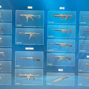 발로란트 아시아서버 굿즈(11렙) 이미지