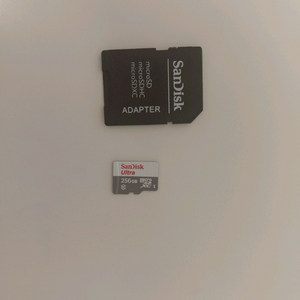 샌디스크 마이크로sd 256gb 이미지