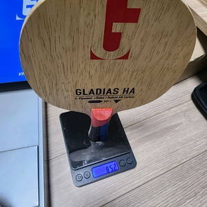 빅타스 글라디아스 ha 이미지