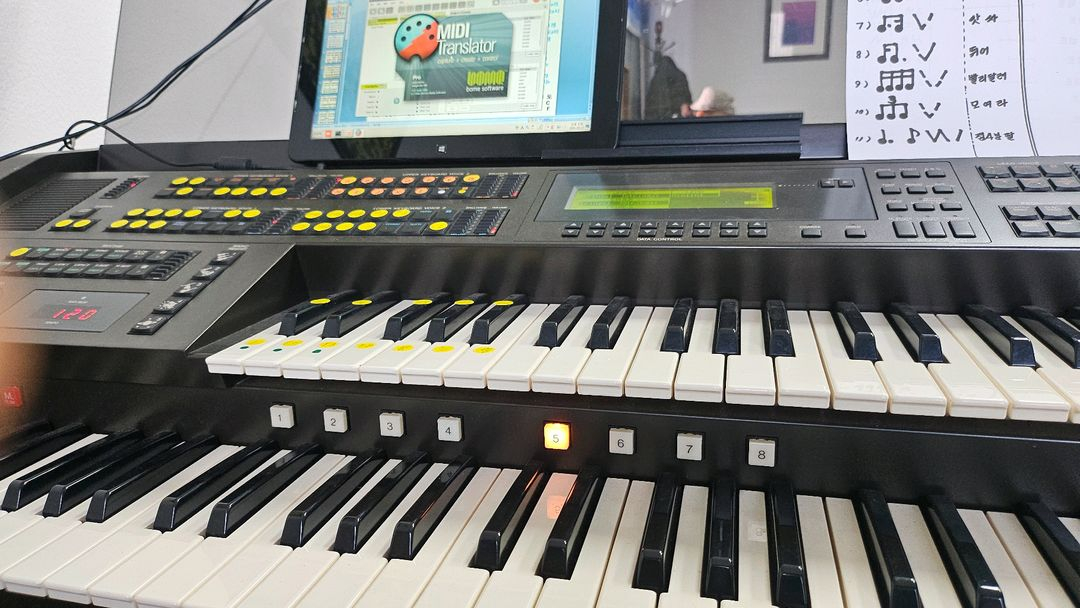 전자올겐 이미지