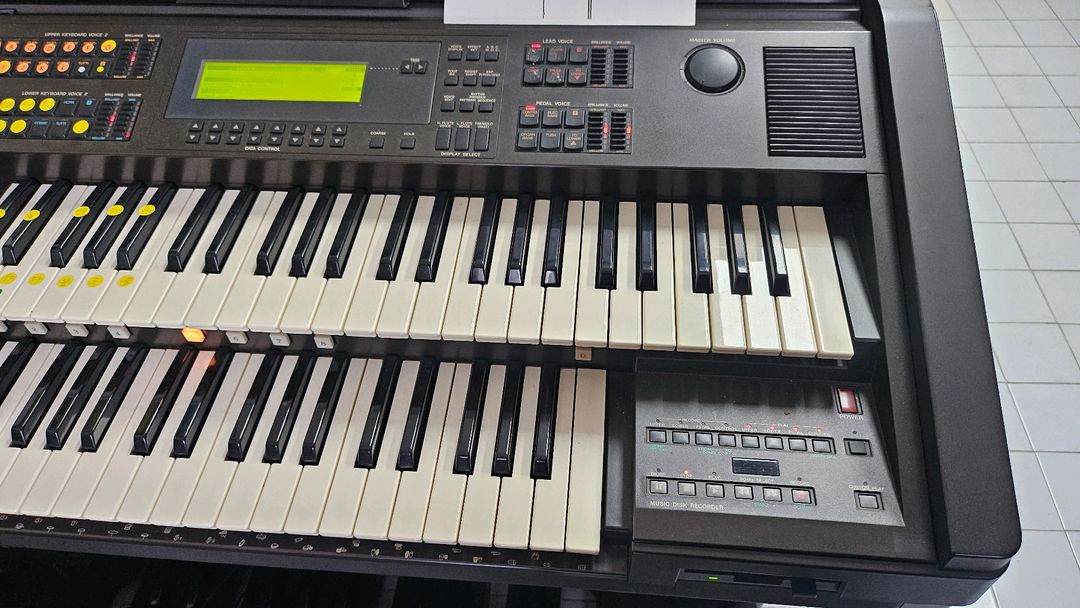 전자올겐 이미지