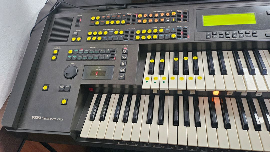 전자올겐 이미지