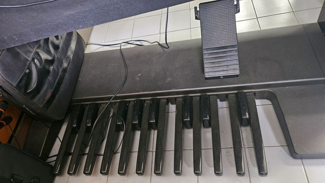 전자올겐 이미지