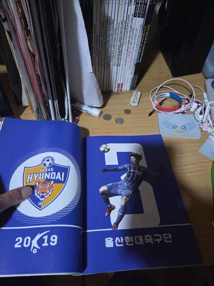 2019 k리그 스카우팅리포트 이미지