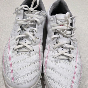 데피니브 축살화 이미지