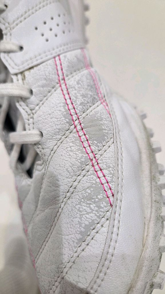 데피니브 축살화 이미지