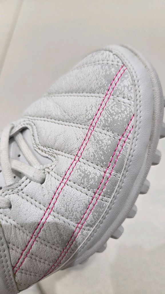 데피니브 축살화 이미지