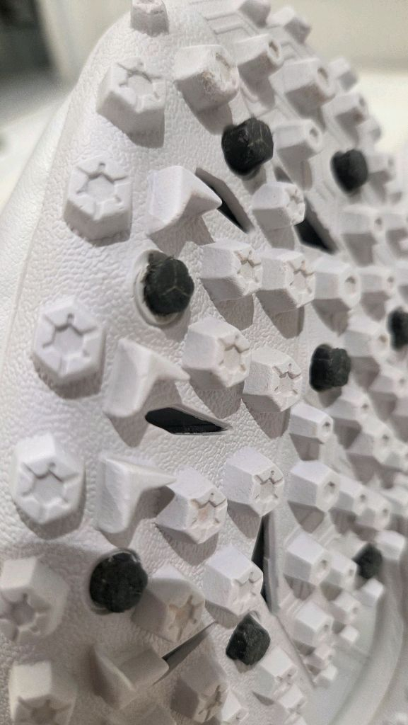 데피니브 축살화 이미지