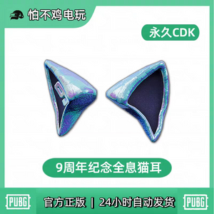 배그 스킨 9주년 머리띠 영구제 이미지