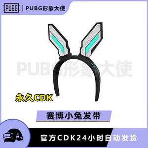 배그 스킨 사이버 래빗 머리띠 이미지