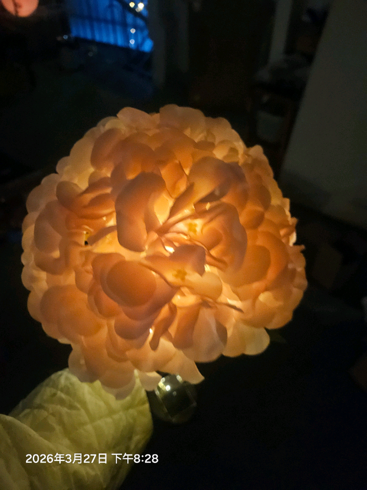 솔라 플라워 자동점등 이미지