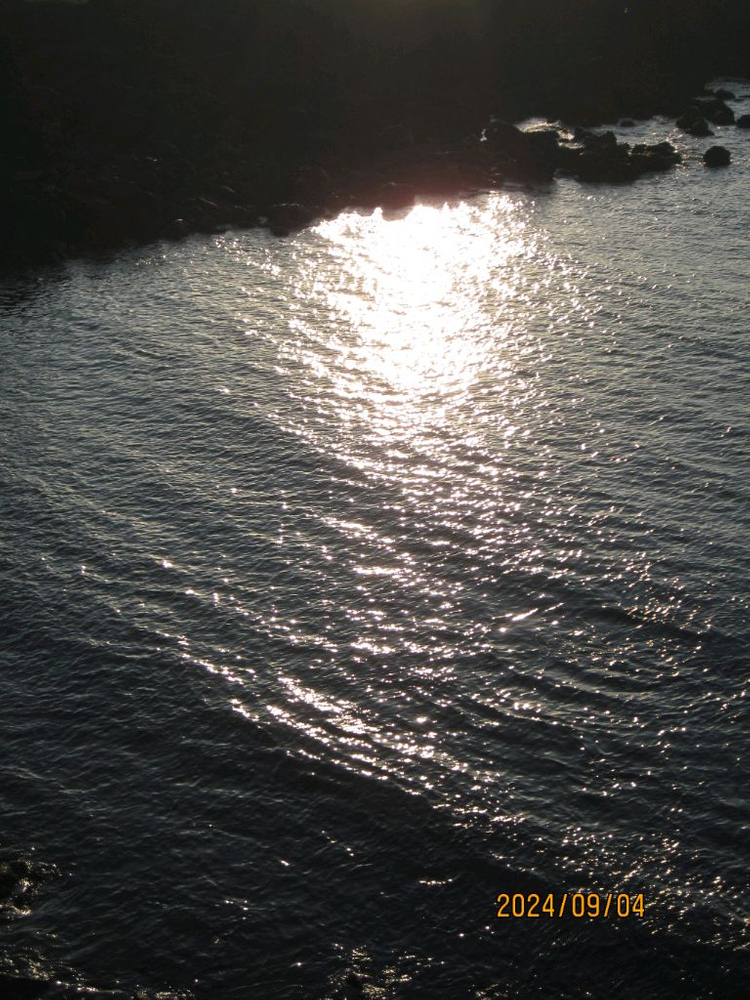 디카 캐논 익서스 IXUS 105 핑크 세트 이미지