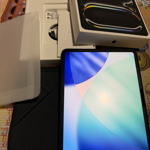 아이패드 프로 13 M4 WIFI 2TB 팝니다 이미지