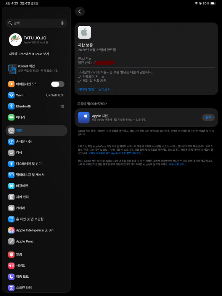 아이패드 프로 13 M4 WIFI 2TB 팝니다 이미지