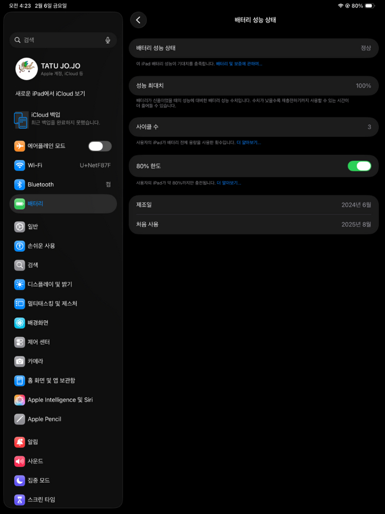 아이패드 프로 13 M4 WIFI 2TB 팝니다 이미지