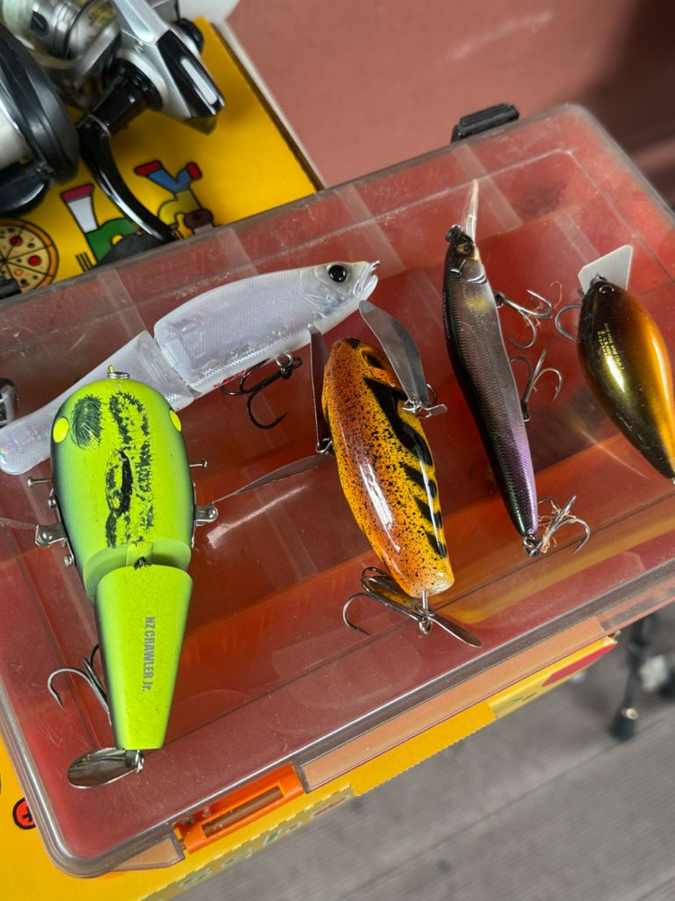배스낚시 용품 정리 이미지