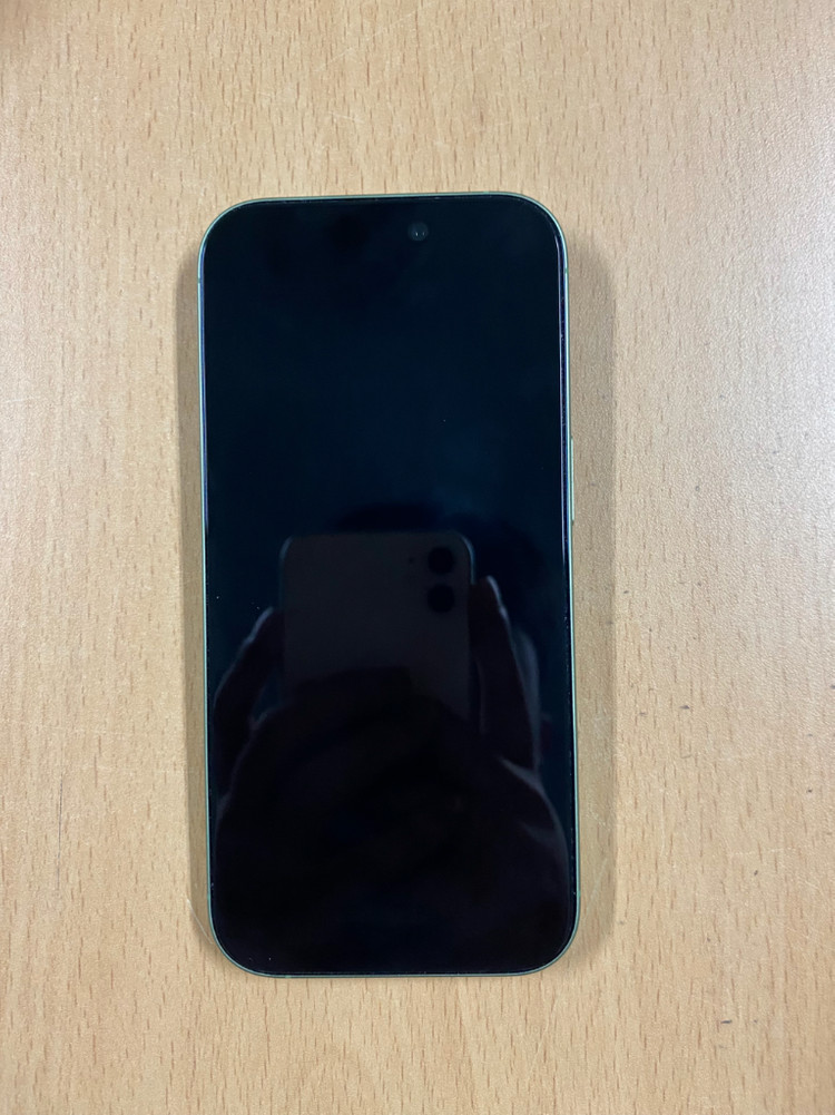 아이폰 17 256GB 세이지 그린 이미지