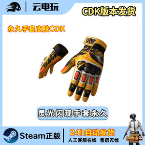 배그 스킨 9주년 장갑 영구제 이미지