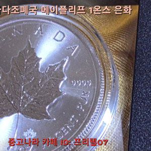 캐나다 메이플리프 골드바 1온스 이미지
