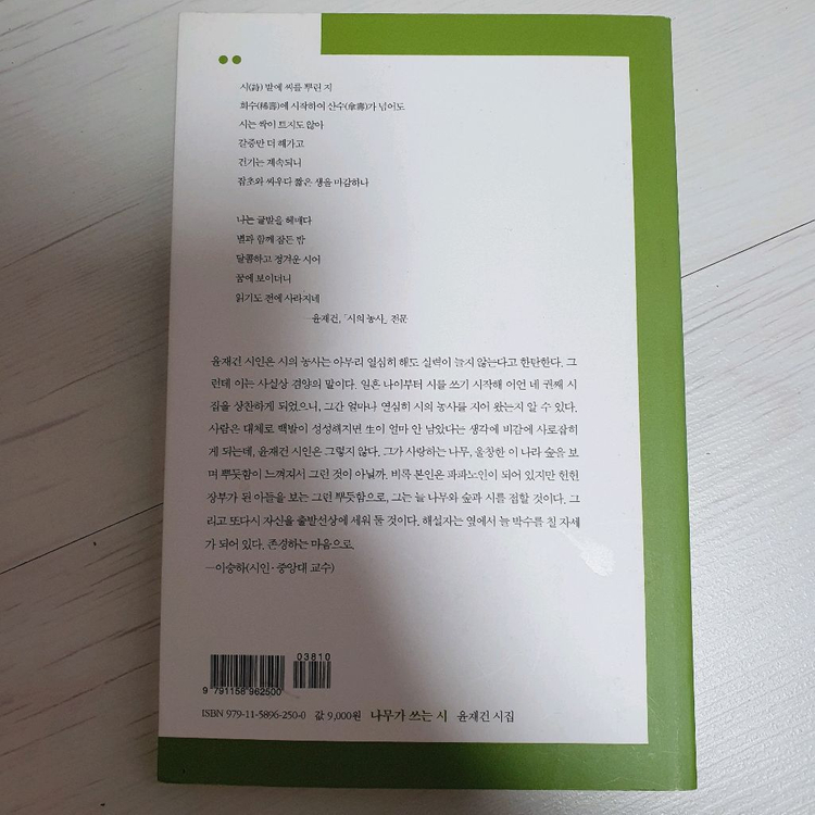 나무가 쓰는 시 이미지