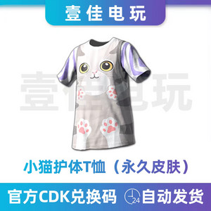 배그 스킨 야옹이 티셔츠 이미지