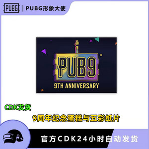 배그 스킨 9주년 네임플레이트 이미지