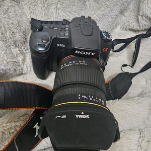 소니 dslr a300+시그마 24-600mm 렌즈 카메라 이미지