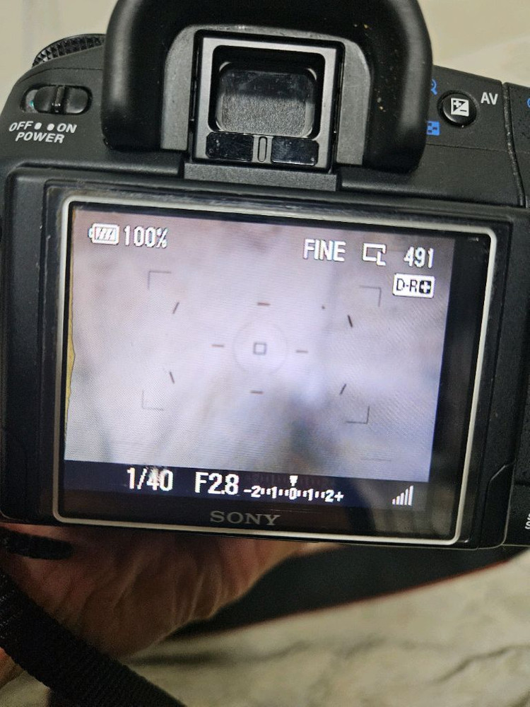 소니 dslr a300+시그마 24-600mm 렌즈 카메라 이미지