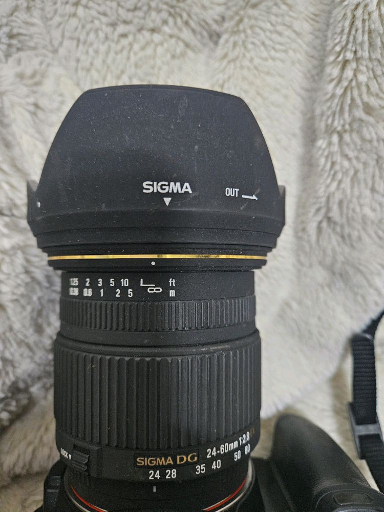 소니 dslr a300+시그마 24-600mm 렌즈 카메라 이미지