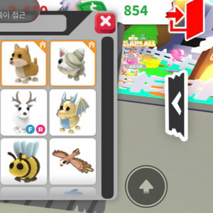 입양하세요 흰순록팔아요 이미지