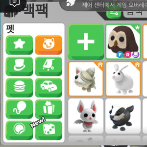 입양하세요 부엉이 팔아요 이미지