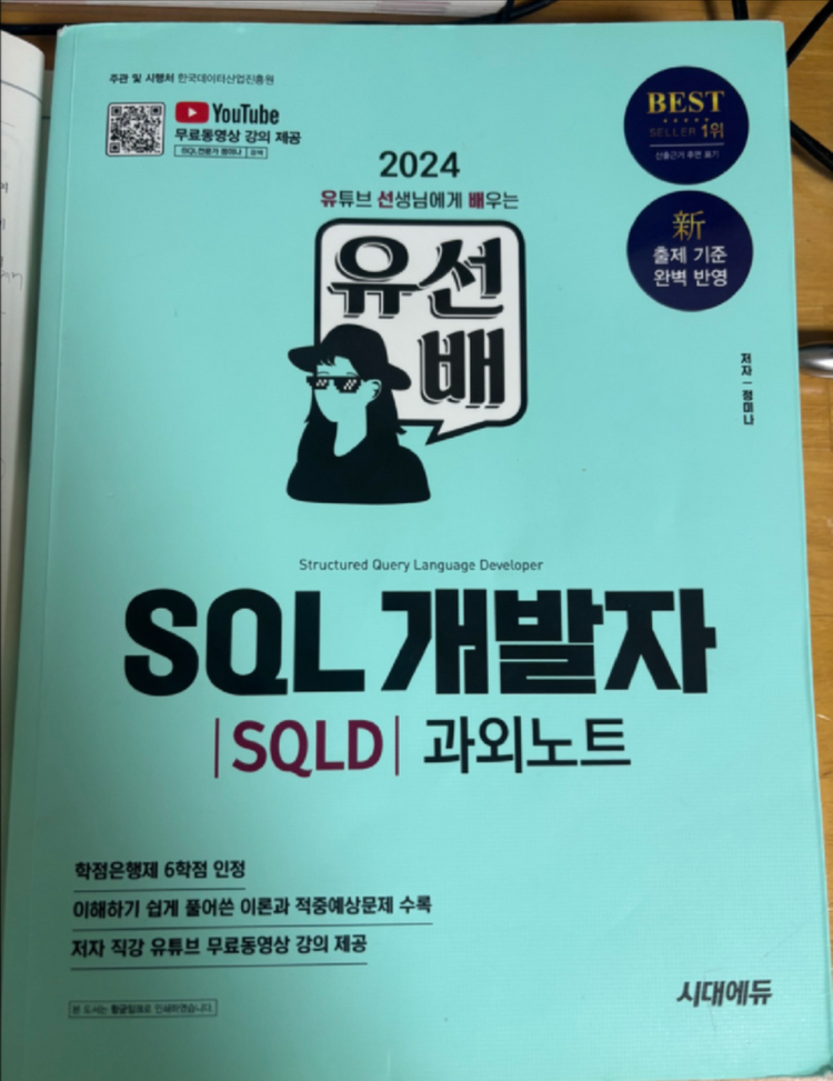 SQL개발자 이기적, 유선배 SQL개발자 이미지