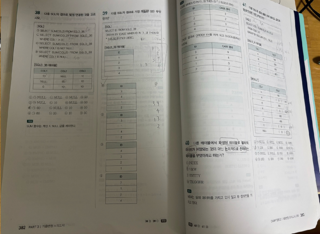 SQL개발자 이기적, 유선배 SQL개발자 이미지