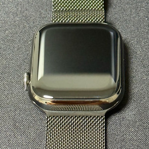 애플워치9 스테인 그래파이트 45mm 애케플 이미지