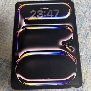 아이패드 프로 11 M4 256 셀룰러 이미지