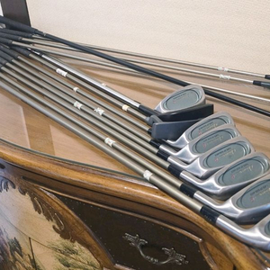 골프채세트 이미지