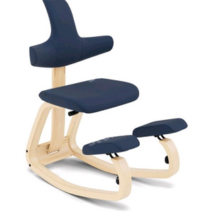 바리에르 척추 자세 교정 의자 팝니다 이미지