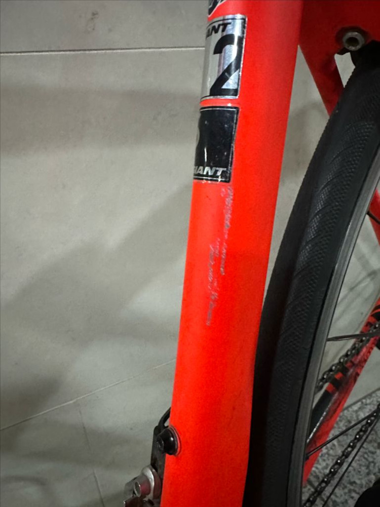 자이언트 tcr 어드밴스2 이미지