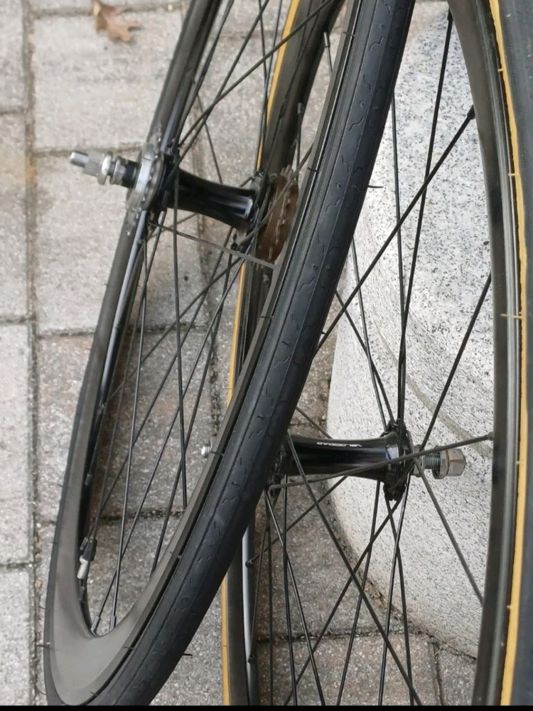 벨로시닷 휠셋 이미지