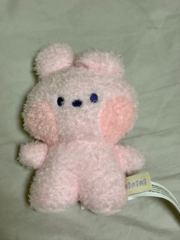 BT21 미니니 쿠키 COOKY 정국 인형 BTS 이미지